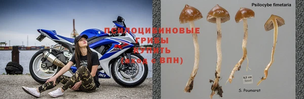 спайс Нея