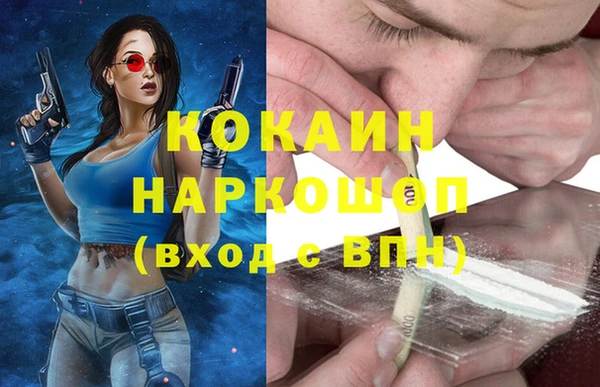 гидра Приозерск
