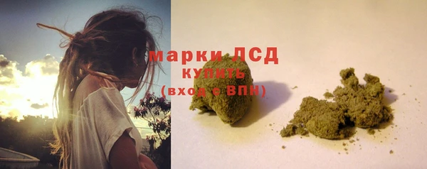 спайс Нея