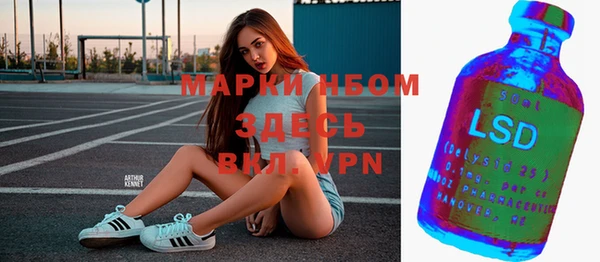 спайс Нея