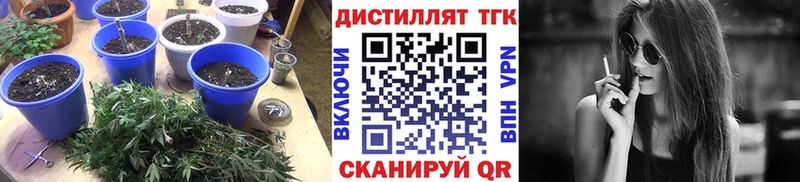 ТГК жижа Кимры