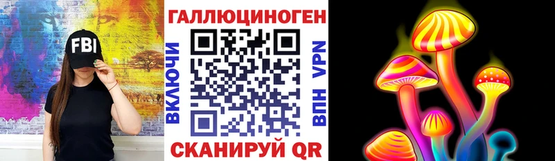 Псилоцибиновые грибы Psilocybine cubensis  Кимры 