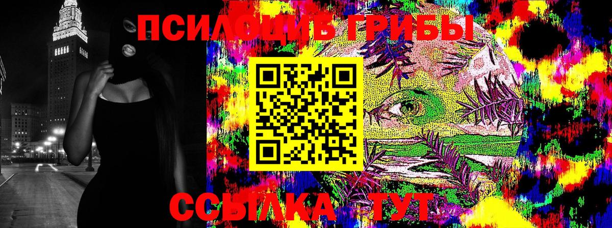 Галлюциногенные грибы Cubensis  Вход с VPN  Кимры 