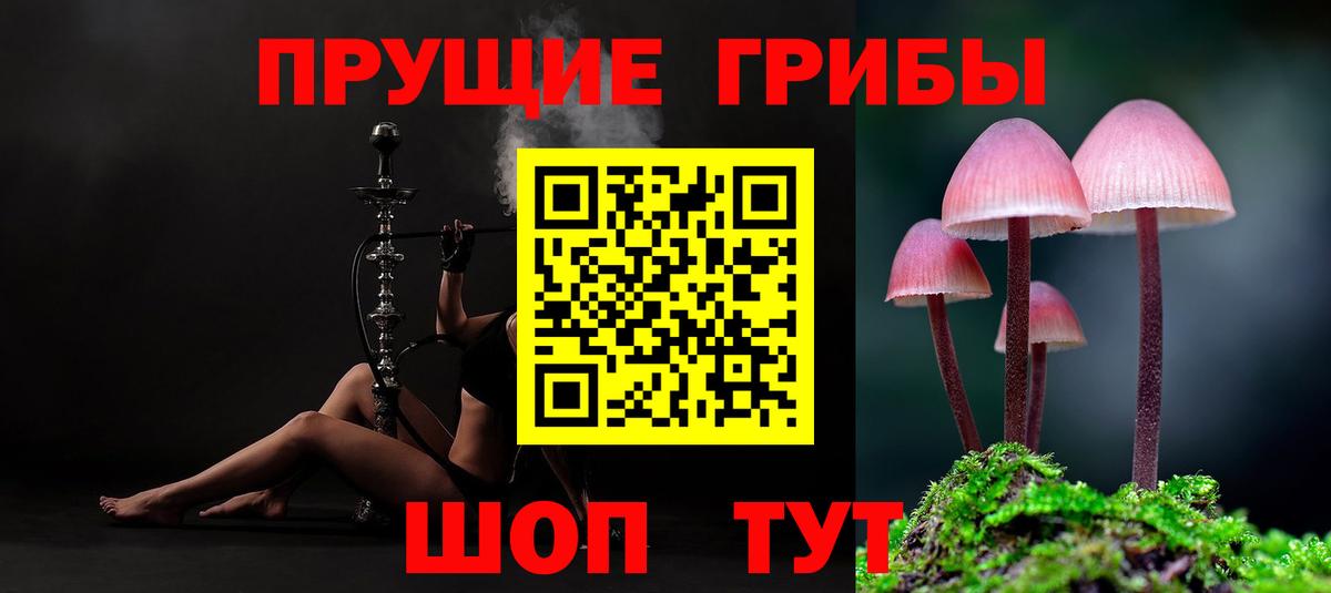Псилоцибиновые грибы Magic Shrooms Кимры