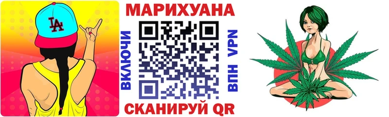 сколько стоит  Кимры  Каннабис семена 